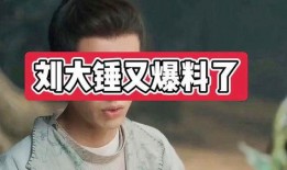 大锤爆料最新消息视频,揭秘视频背后的惊人真相