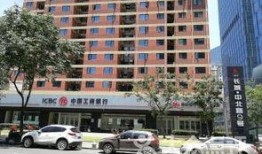 武汉中南路最新爆料,繁华商圈风云再起，揭秘背后故事