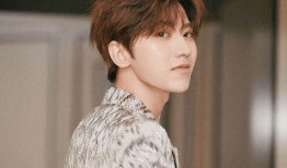 圈内爆料宋妍菲是谁,宋妍菲，娱乐圈神秘人物的真实身份曝光